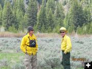 Sage and Trees. Photo by T.J. Hunt.