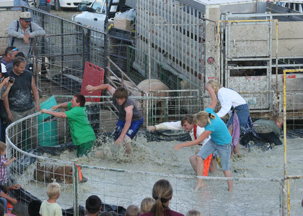 Greased Pig contest. Photo by Dawn Ballou, Pinedale Online.