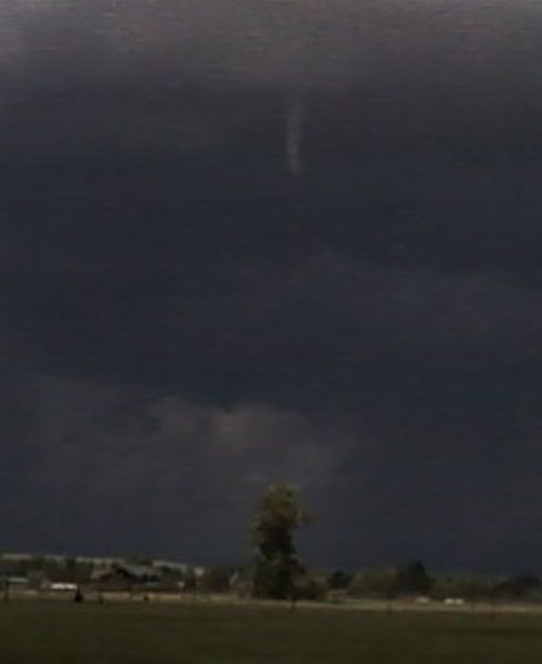 Funnel close-up. Photo by Kathy Sandmeier.