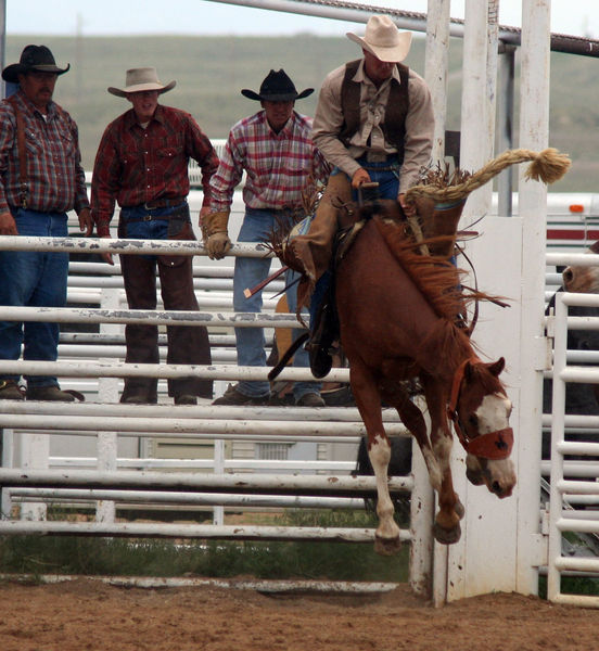 Ranch Bronc Riding. Photo by Clint Gilchrist, Pinedale Online.