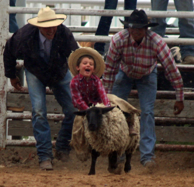 Mutton Bustin. Photo by Clint Gilchrist, Pinedale Online.