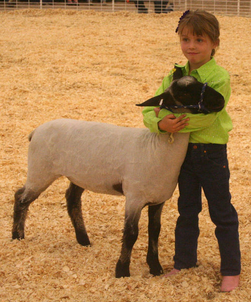Pee Wee Showmanship. Photo by Clint Gilchrist, Pinedale Online.