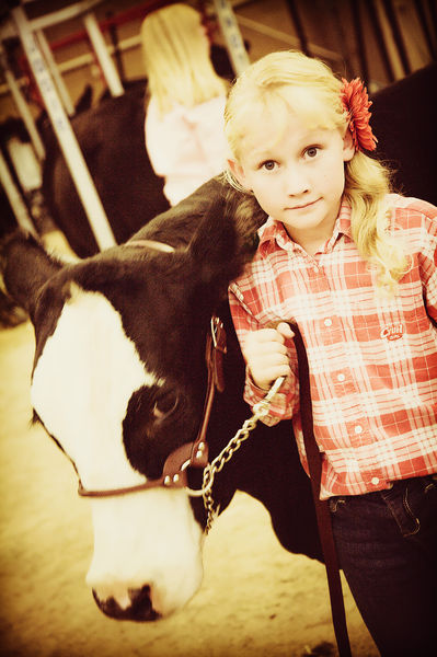 Sublette County Fair Steer Show. Photo by Sublette County Fair.