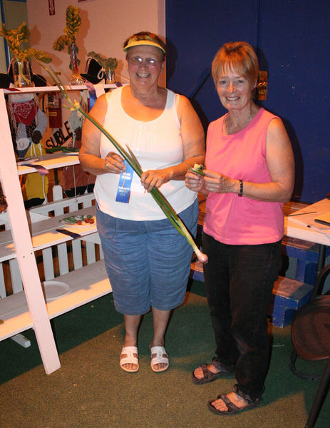 Gardeners. Photo by Dawn Ballou, Pinedale Online.