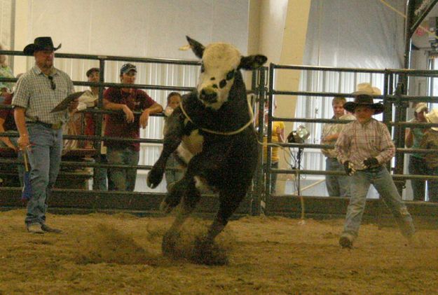 Chance Stevie. Photo by Dawn Ballou, Pinedale Online.