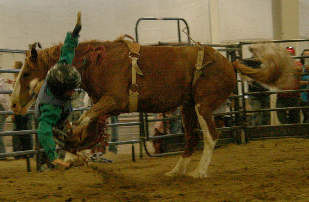 Donnie Profitt. Photo by Dawn Ballou, Pinedale Online.