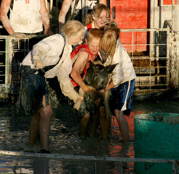 Hog Rinders. Photo by Dawn Ballou, Pinedale Online.