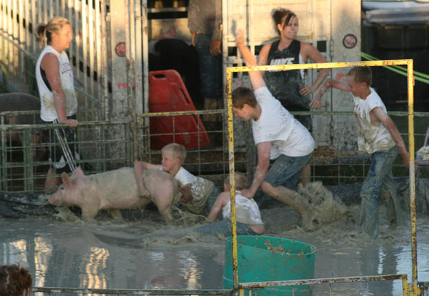 Mud Dogs. Photo by Dawn Ballou, Pinedale Online.