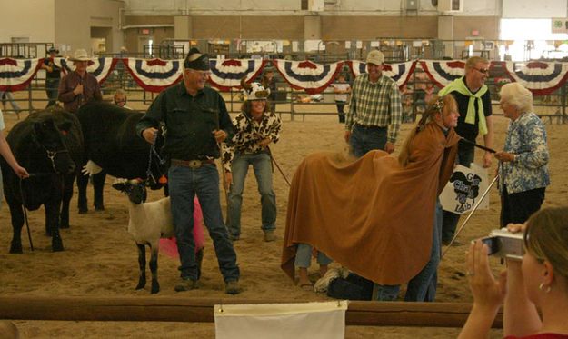 Over The Hill Beef Showmanship. Photo by Dawn Ballou, Pinedale Online.