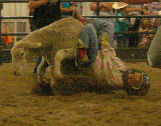 Sharianne Brower. Photo by Dawn Ballou, Pinedale Online.