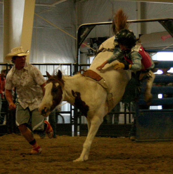 Sorrel Profitt. Photo by Dawn Ballou, Pinedale Online.