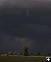 Funnel close-up. Photo by Kathy Sandmeier.