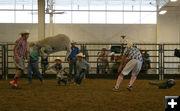 Jumping Sheep. Photo by Dawn Ballou, Pinedale Online.