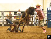 Calf Riding. Photo by Dawn Ballou, Pinedale Online.