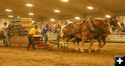 Horse Pull. Photo by Dawn Ballou, Pinedale Online.