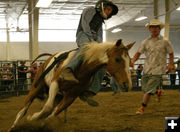 Kade Williams. Photo by Dawn Ballou, Pinedale Online.