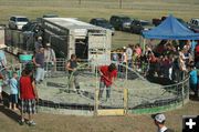 Watering down. Photo by Dawn Ballou, Pinedale Online.