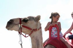 Sublette safari. Photo by Sam Luvisi, Sublette Examiner.