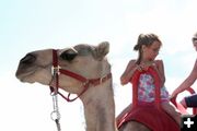 Sublette safari. Photo by Sam Luvisi, Sublette Examiner.