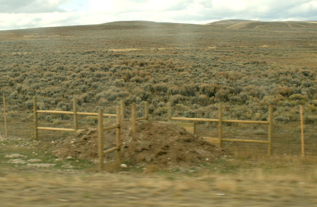 Wildlife escape ramp. Photo by Dawn Ballou, Pinedale Online.