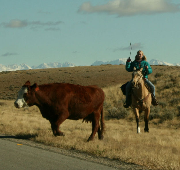 Cowgirl. Photo by Dawn Ballou, Pinedale Online.