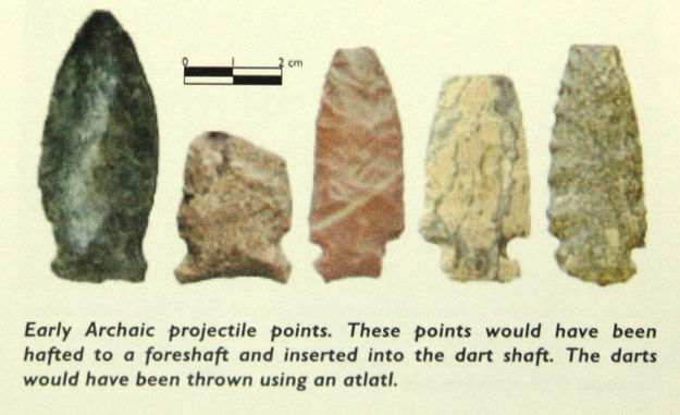 Projectile Points. Photo by Current Archaeology.