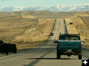 Flagger. Photo by Dawn Ballou, Pinedale Online.