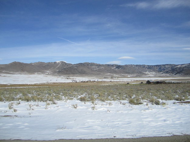 Near South Pass. Photo by Bill Winney.