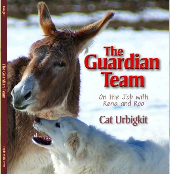 The Guardian Team. Photo by Cat Urbigkit.