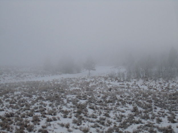 Fog. Photo by Bill Winney.