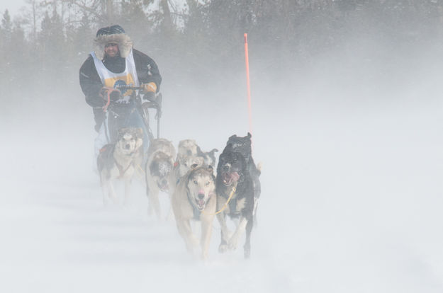 Through the snow. Photo by Chris Havener.