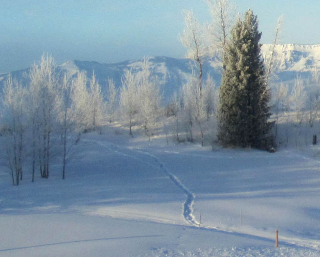 Snow trails. Photo by Bill Winney.