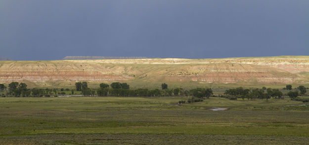 Green River bottomlands. Photo by Mark Gocke, Wyoming Game & Fish.