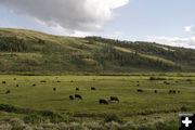 Fish Creek Flying W Ranch. Photo by Mark Gocke, Wyoming Game & Fish.