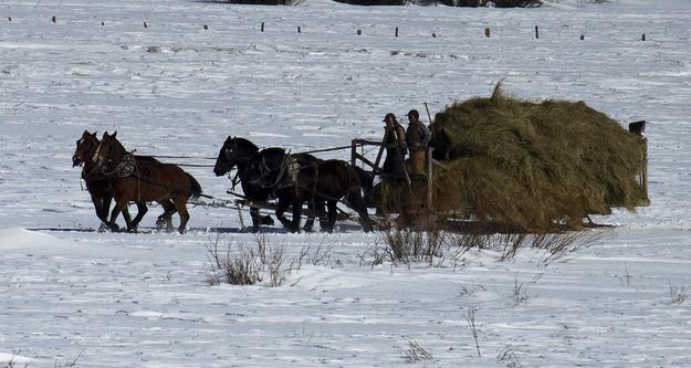 Haying with horses. Photo by Dave Bell.