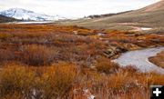 North Cottonwood Creek. Photo by Dave Bell.