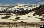 Spring in Bondurant. Photo by Dave Bell.