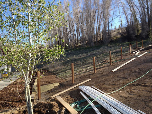 Fence. Photo by Ana Cuprill.