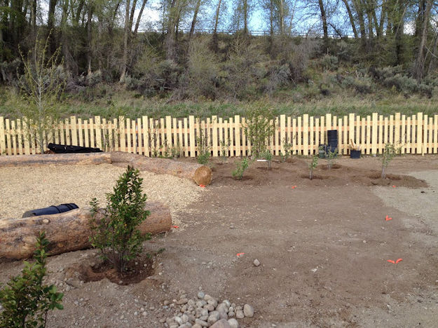 Planting shrubs. Photo by Ana Cuprill.