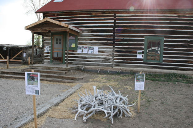 Homestead House and antler pile. Photo by Dawn Ballou, Pinedale Online.