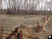 New fence. Photo by Ana Cuprill.