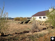 Shrubs and landscaping. Photo by Ana Cuprill.