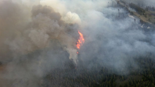 Flames on the ridge. Photo by US Forest Service .