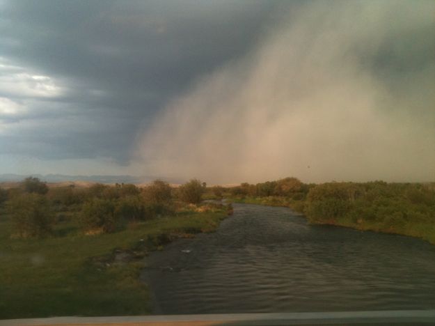 Overtaking the Green. Photo by Dawn Ballou, Pinedale Online.