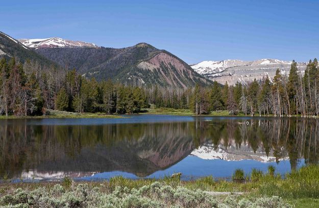 Soda Lake. Photo by Dave Bell.