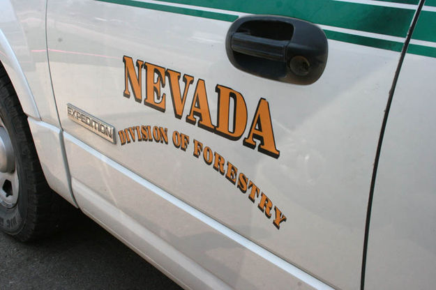 Nevada Division of Forestry. Photo by Dawn Ballou, Pinedale Online.