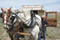 Wagons west. Photo by Mark Brenden, Sublette Examiner.