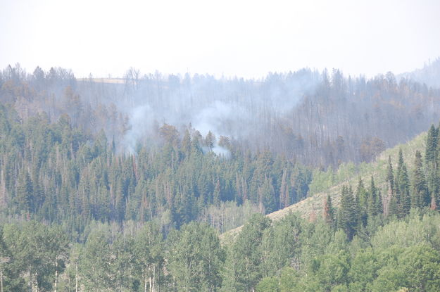 Smoldering. Photo by Jason Curry, Great Basin IMT Team 5 Information Officer.