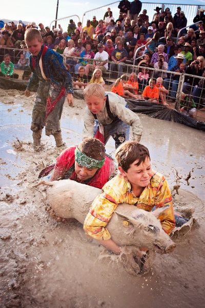 Pig Wrestling. Photo by Tara Bolgiano, Blushing Crow Photography.