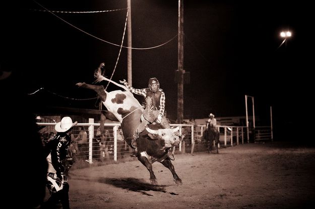 Bull riding. Photo by Tara Bolgiano, Blushing Crow Photography.